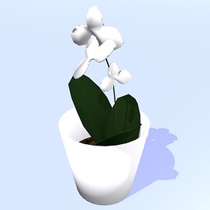 Flower Pot