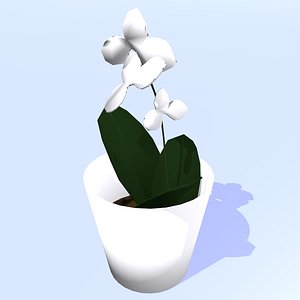 Flower Pot