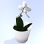 3D flowers pot