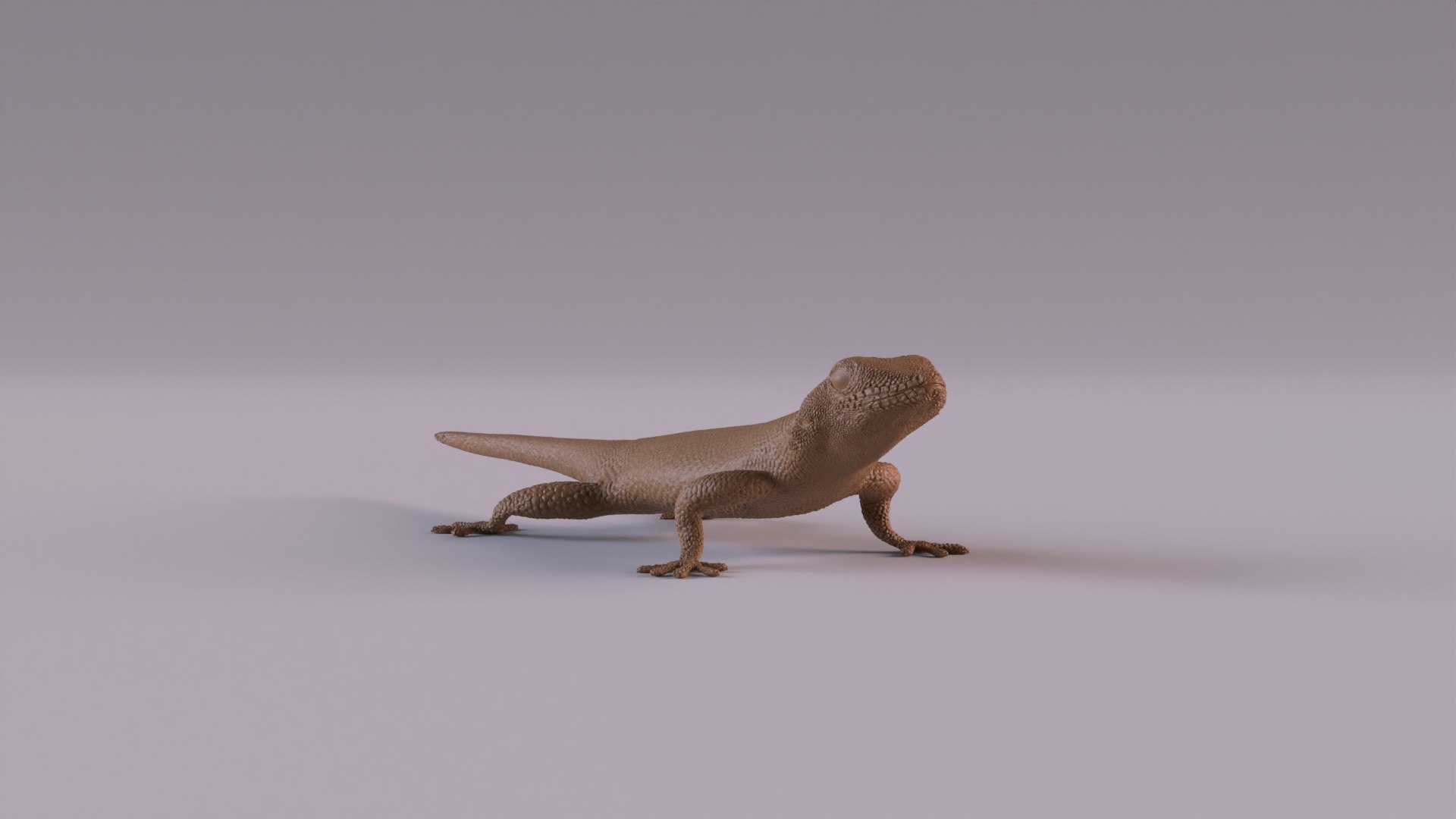 Gecko Printable Model - TurboSquid 1895304