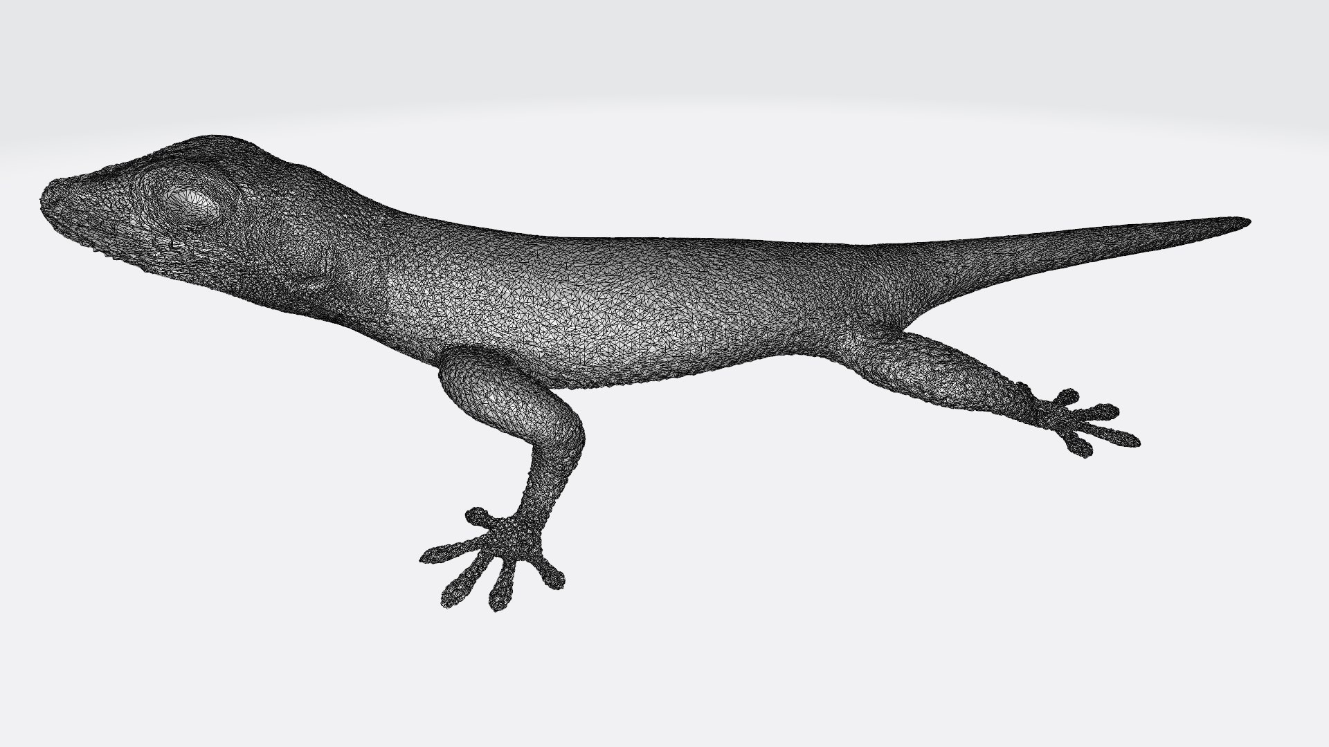 Gecko Printable Model - TurboSquid 1895304