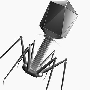 virus bacteriophage nanorobot rigged 3D model
