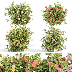 Flowering Bushes collection vol 108 3D model