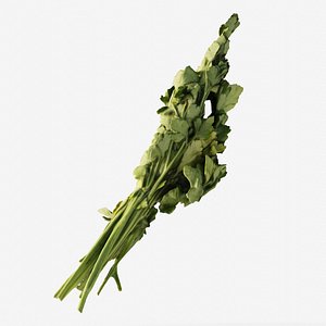 Scanned a bunch of parsley