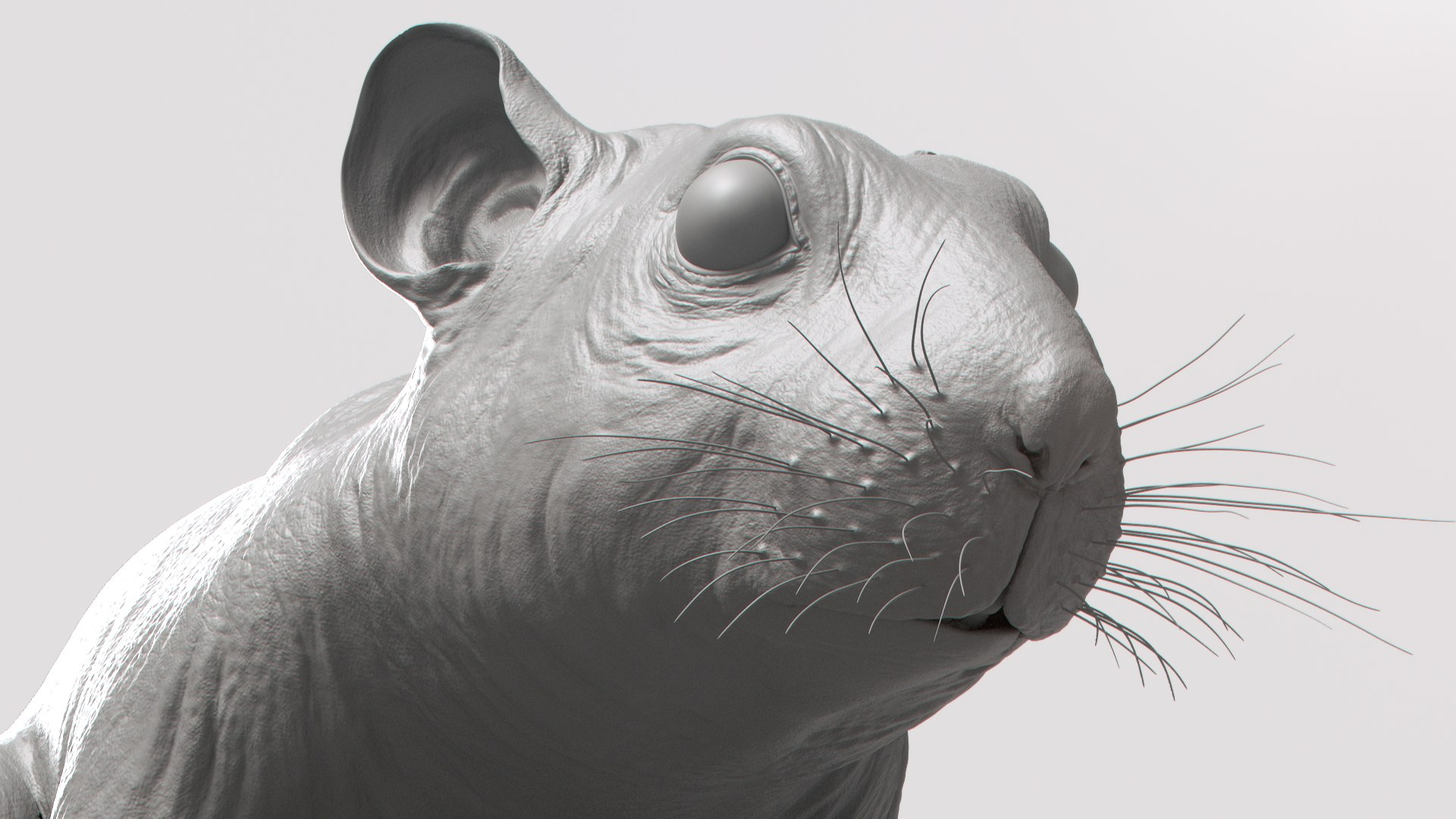 hamster animal rodent model https://p.turbosquid.com/ts-thumb/cU/ONyEMd/plfOWPYs/shade36/jpg/1606945512/1920x1080/fit_q87/3b129a6254e6ad0a76e55115e7cec027aed02225/shade36.jpg