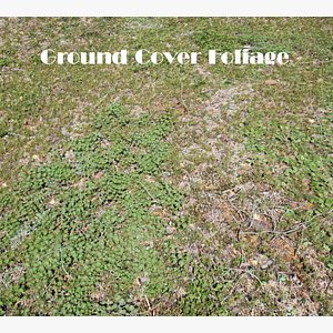 3D Ground Cover Foliage