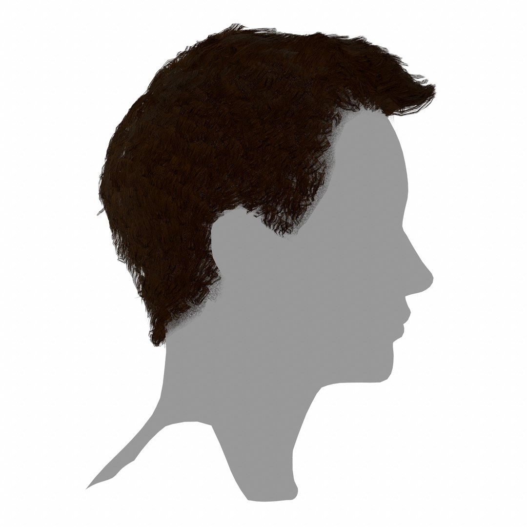 3D hair layered low-poly - https://p.turbosquid.com/ts-thumb/cU/ikw6AI/7vSm2MAW/screenshot012/png/1595034993/1920x1080/fit_q87/6fe56cce562c2d50ab1b6a87c08fefa66da34b66/screenshot012.jpg