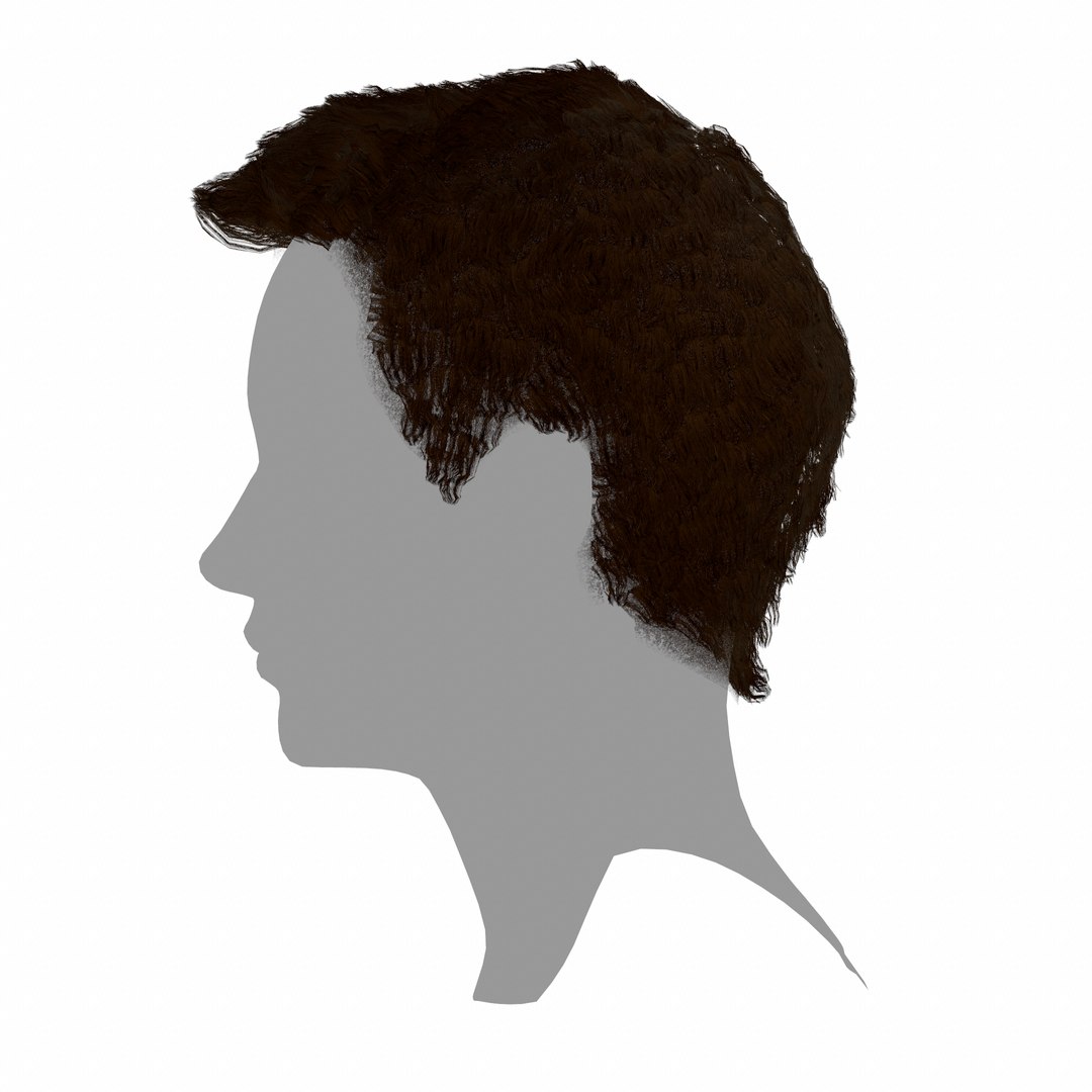 3D hair layered low-poly - https://p.turbosquid.com/ts-thumb/cU/ikw6AI/IonYCPn6/screenshot014/png/1595034993/1920x1080/fit_q87/6d24f352649f536c4efe4674e009ce613e51c081/screenshot014.jpg