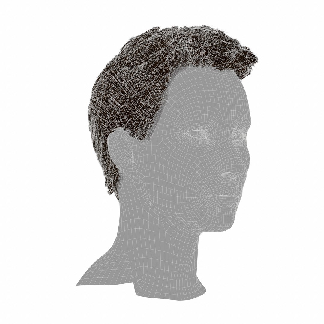3D hair layered low-poly - https://p.turbosquid.com/ts-thumb/cU/ikw6AI/PnUiKN9Y/screenshot019/png/1595034993/1920x1080/fit_q87/a82fea398eb31e58cd050a2e18f42a684ef849af/screenshot019.jpg