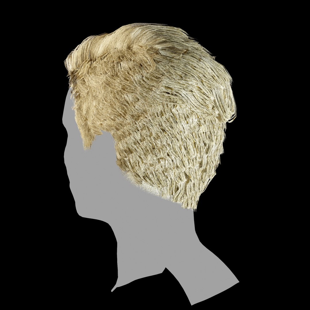 3D hair layered low-poly - https://p.turbosquid.com/ts-thumb/cU/ikw6AI/Z4JjRDP1/screenshot001/png/1595034960/1920x1080/fit_q87/17e319563ad72cc47935f3b546bf591b1f0bf2c8/screenshot001.jpg