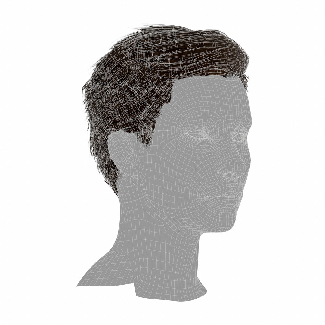 3D hair layered low-poly - https://p.turbosquid.com/ts-thumb/cU/ikw6AI/vQnxSFlV/screenshot020/png/1595034960/1920x1080/fit_q87/a93324b31b2c1eebd0463a565fe7fde729bf63ac/screenshot020.jpg