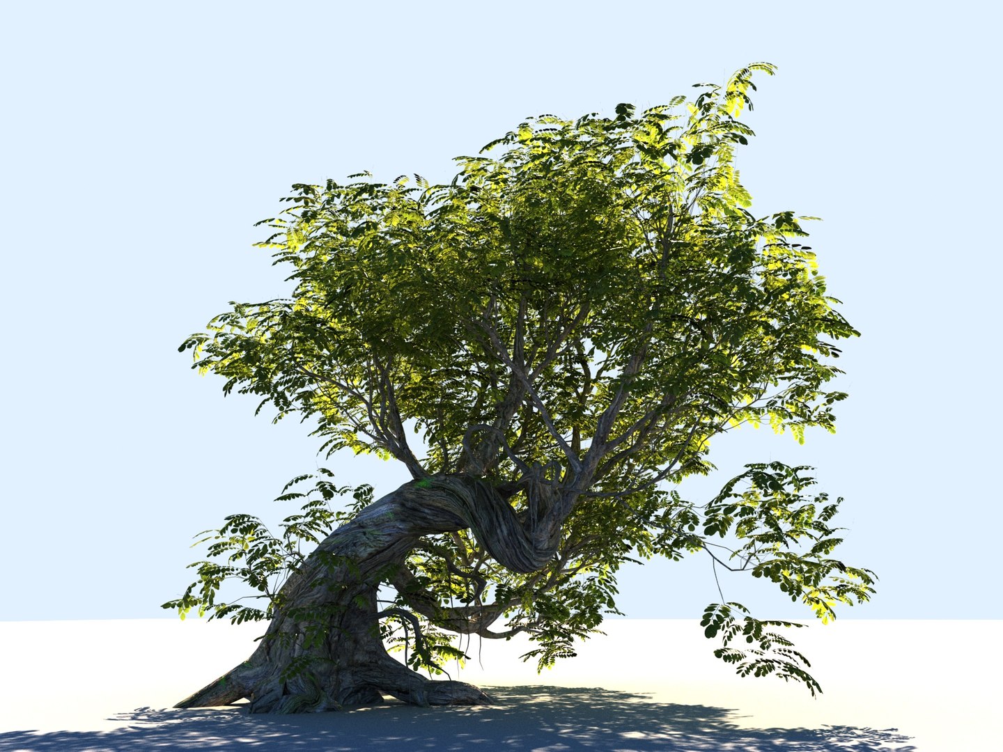 Tree Scanned Ready Model - TurboSquid 1284606