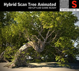 Tree Animated