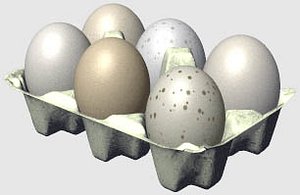 Eggs