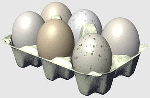 3d dozen eggs model