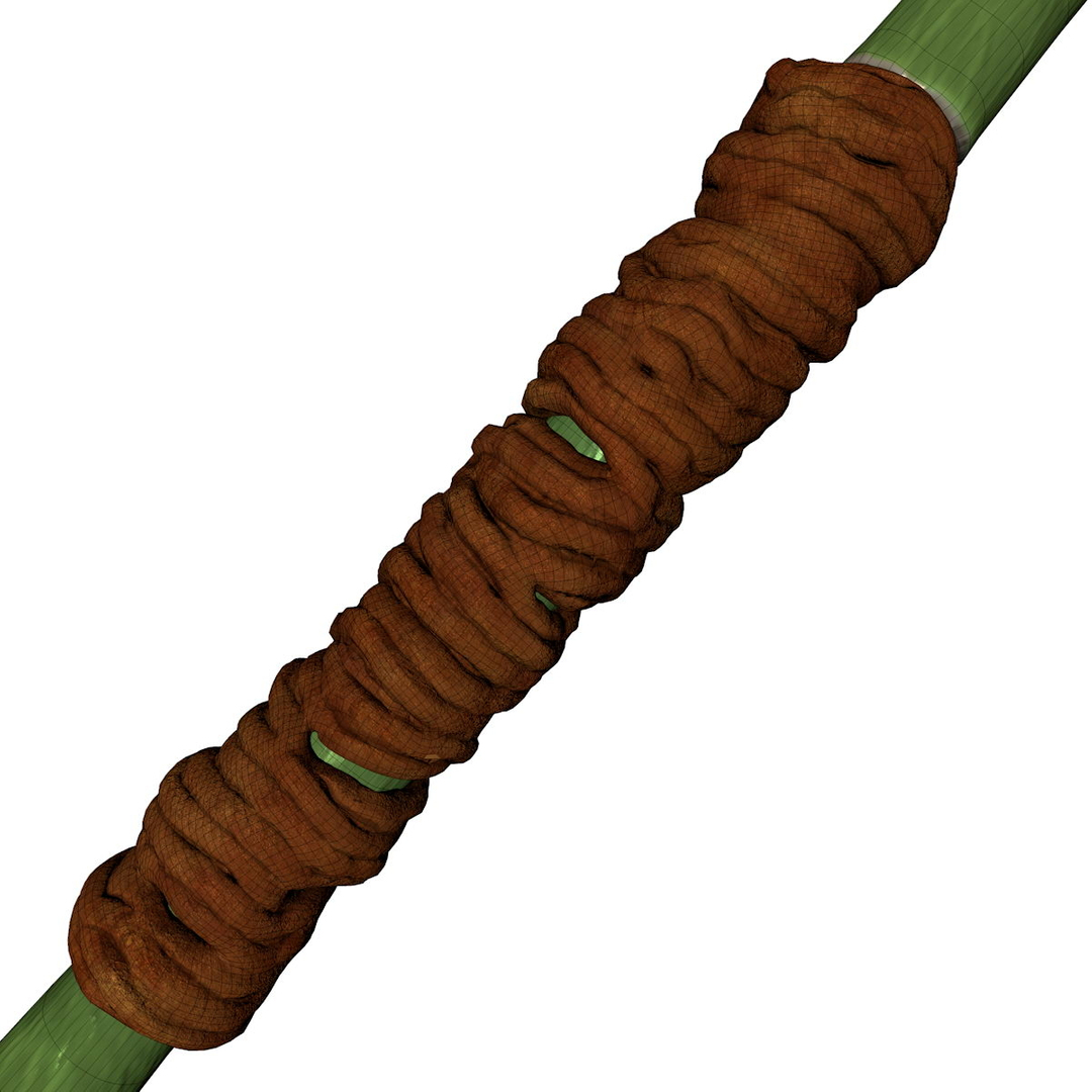 3d Bamboo Fight Staff Bo