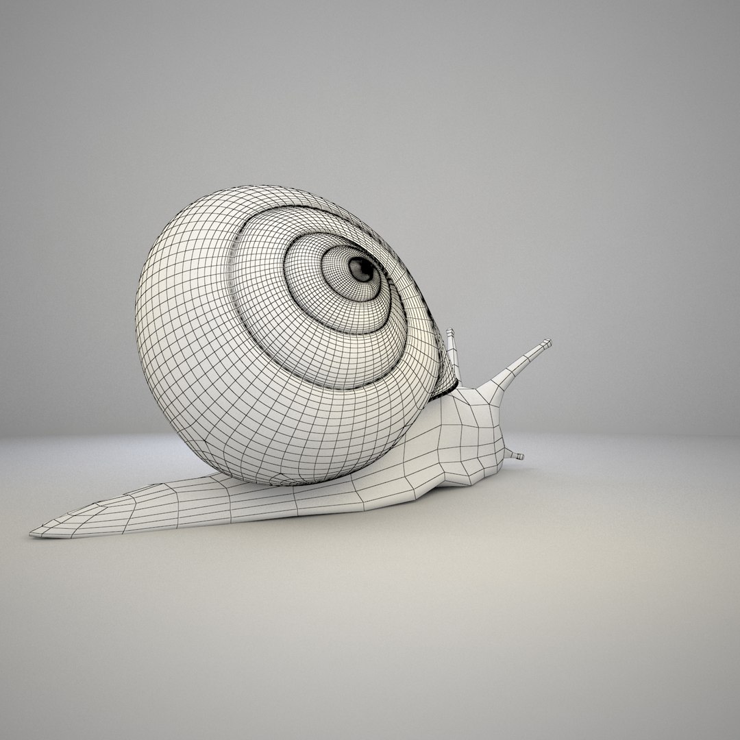 max snail shell https://p.turbosquid.com/ts-thumb/cU/yg60ZF/8DQ2CyE9/wireframe_frame_0008_00000/jpg/1418507492/1920x1080/fit_q87/26ed51b5b2248554eedcc53e700203af71c54a94/wireframe_frame_0008_00000.jpg