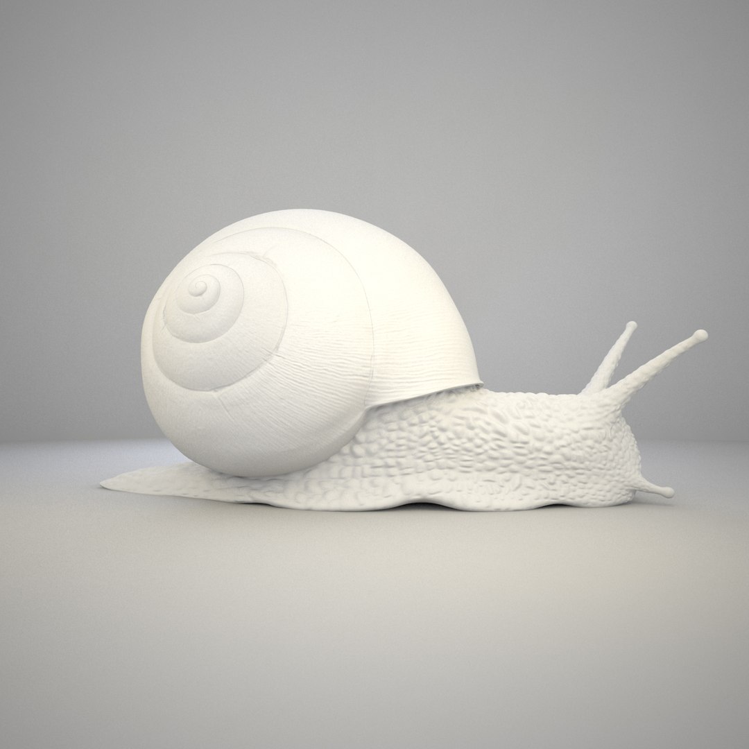 max snail shell https://p.turbosquid.com/ts-thumb/cU/yg60ZF/L6fRZeOC/grey_frame_0001_00000/jpg/1418507417/1920x1080/fit_q87/a2f449e32a606616595d89d98ca5503708b35eaa/grey_frame_0001_00000.jpg