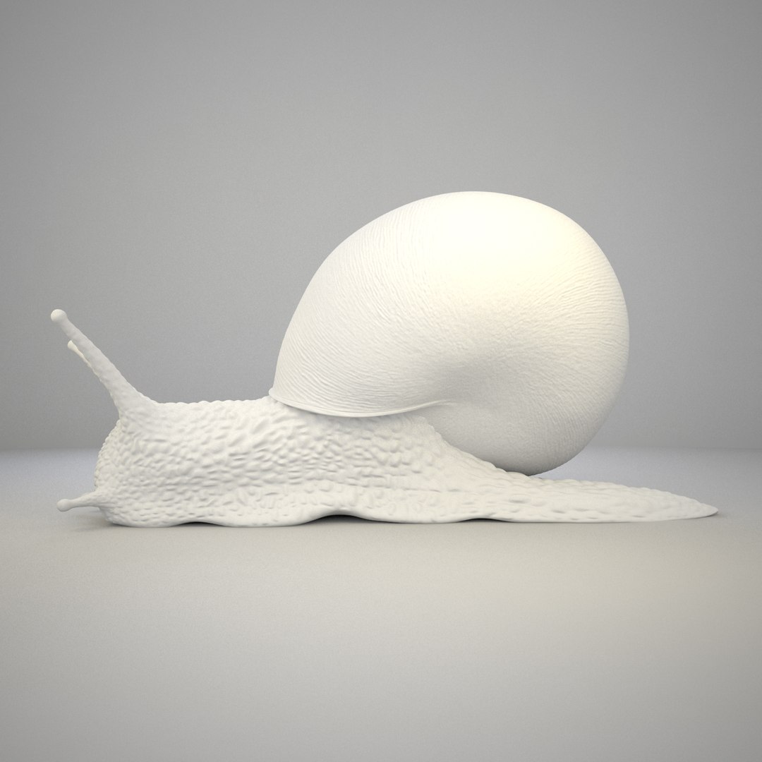 max snail shell https://p.turbosquid.com/ts-thumb/cU/yg60ZF/SedXje7P/grey_frame_0026_00000/jpg/1418507417/1920x1080/fit_q87/cdea1b34de7909ec6796b8964de4eaba03c599d4/grey_frame_0026_00000.jpg