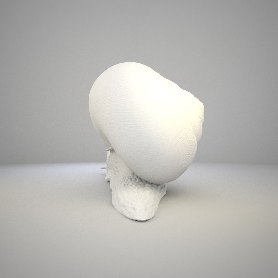 max snail shell https://p.turbosquid.com/ts-thumb/cU/yg60ZF/nL4fdnL4/grey_frame_0015_00000/jpg/1418507417/1920x1080/fit_q87/b7764c13aed545a8ebb2e21a75782cbffa5eb63b/grey_frame_0015_00000.jpg