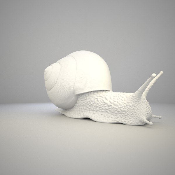 max snail shell