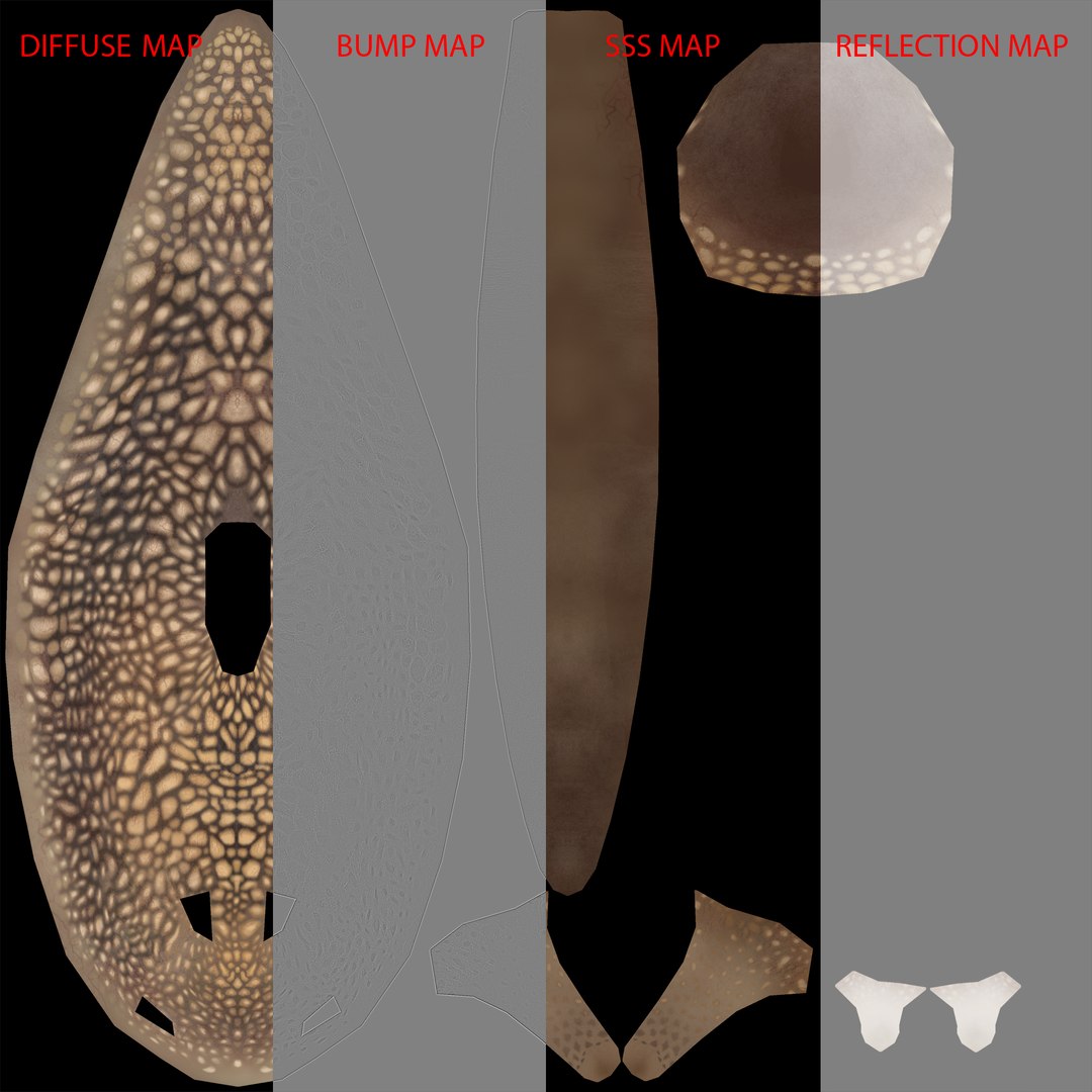 max snail shell https://p.turbosquid.com/ts-thumb/cU/yg60ZF/wVyCLG4L/body_texturemap_screenshot/jpg/1418507522/1920x1080/fit_q87/d07ae6cb6c14ec6df589f7c4aa735e7d246ea44d/body_texturemap_screenshot.jpg