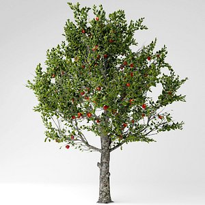 3D model apple tree