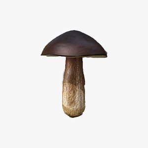Mushroom - Boletus Edulis model