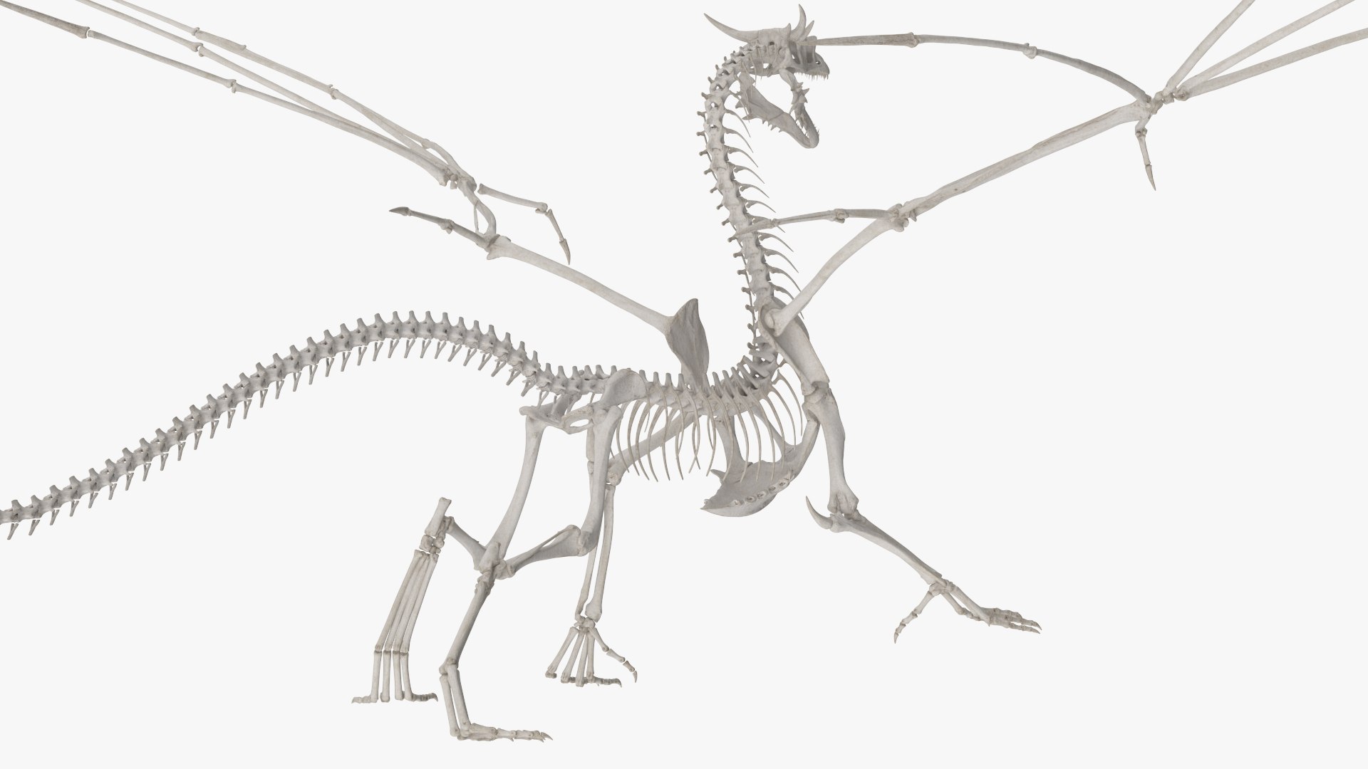 Fantasy Dragon Creature and Skeleton Rigged for Cinema 4D Collection 3D model https://p.turbosquid.com/ts-thumb/cV/BQNEui/1l/fantasy_dragon_creature_and_skeleton_rigged_for_cinema_4d_collection_001/jpg/1769941168/1920x1080/fit_q87/10ea9ae0d677c37232fd7a95af379dd11efd6089/fantasy_dragon_creature_and_skeleton_rigged_for_cinema_4d_collection_001.jpg