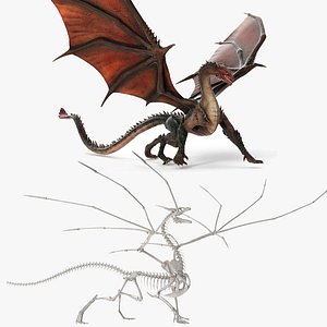 Fantasy Dragon Creature and Skeleton Rigged for Cinema 4D Collection 3D model