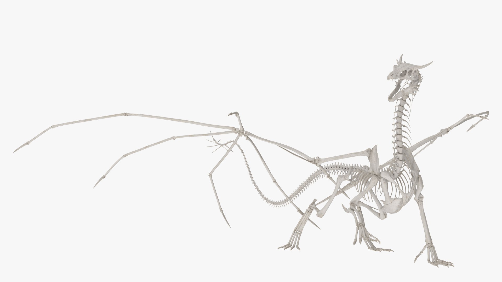 Fantasy Dragon Creature and Skeleton Rigged for Cinema 4D Collection 3D model https://p.turbosquid.com/ts-thumb/cV/BQNEui/iq/fantasy_dragon_creature_and_skeleton_rigged_for_cinema_4d_collection_009/jpg/1769941173/1920x1080/fit_q87/c8827884f371f61e61265078e5898fe2b10afc36/fantasy_dragon_creature_and_skeleton_rigged_for_cinema_4d_collection_009.jpg