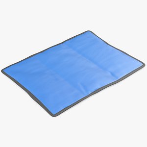 3D Medical Ice Pack model