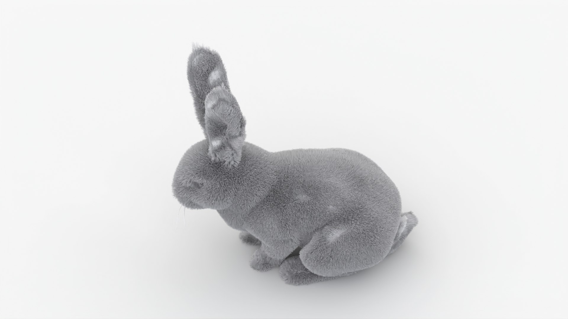Dirty Rigged Rabbit With XGEN Fur For MAYA Arnold 3D Model - TurboSquid ...
