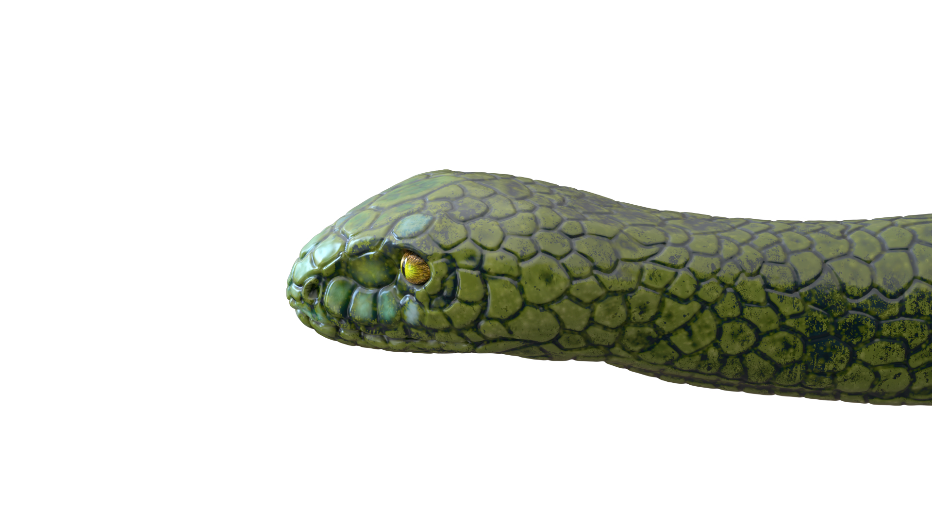 snake and lizard toys