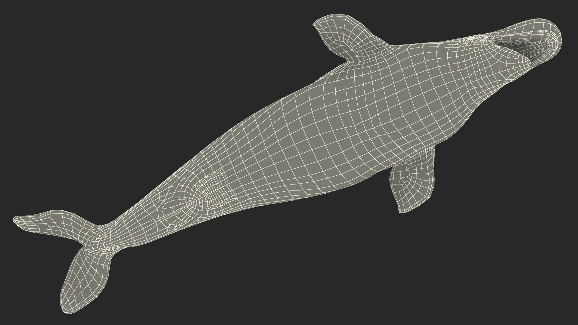 3D Beluga Whale Adult Rigged https://p.turbosquid.com/ts-thumb/cV/oIgjW8/54/belugawhaleadultriggedmb3dmodel037/jpg/1676340437/1920x1080/fit_q87/be0199d078976ceca4c02043c910b5b5782f6a53/belugawhaleadultriggedmb3dmodel037.jpg