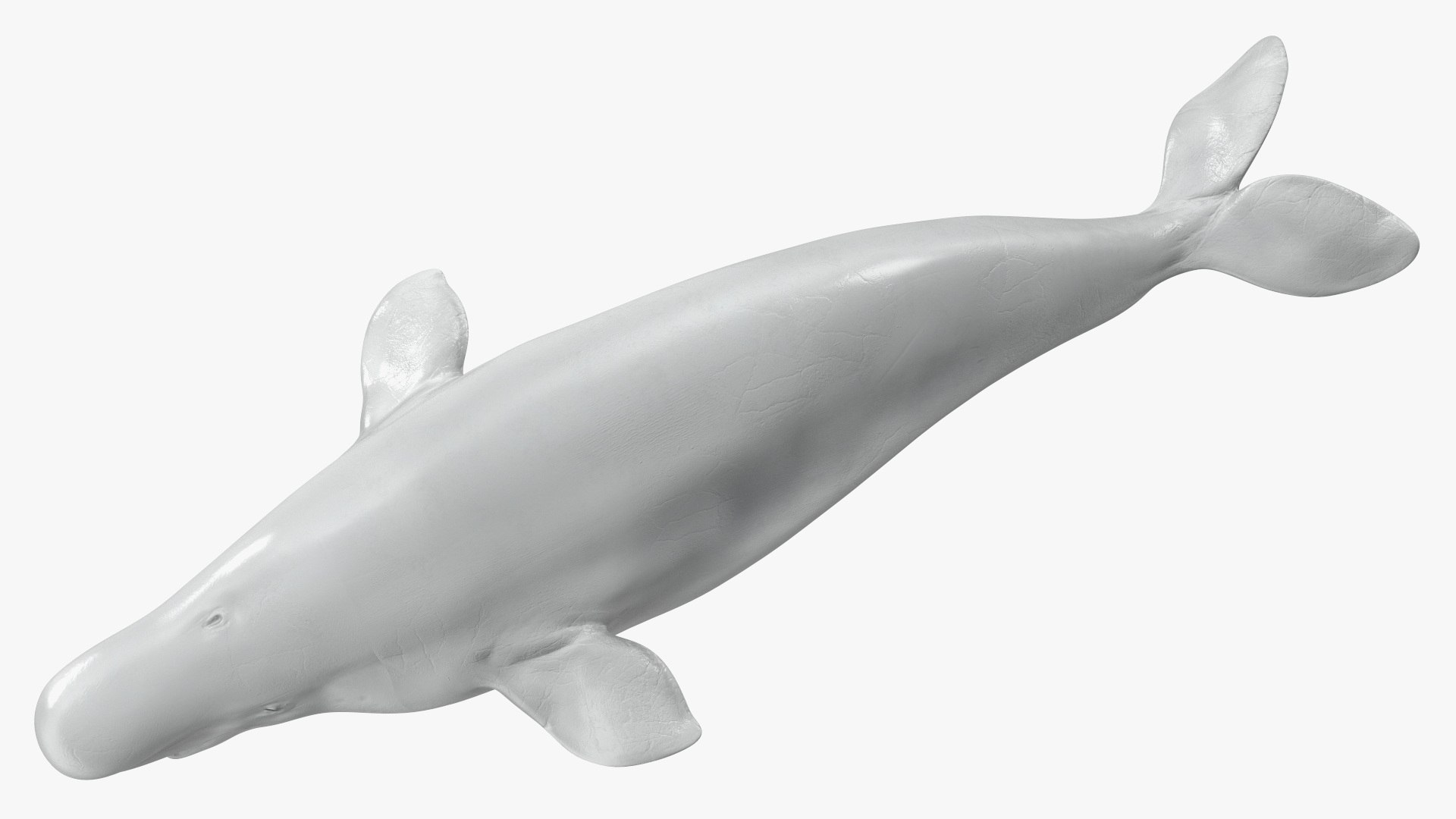 3D Beluga Whale Adult Rigged https://p.turbosquid.com/ts-thumb/cV/oIgjW8/G7/belugawhaleadultriggedmb3dmodel026/jpg/1676340400/1920x1080/fit_q87/f4934e7b76c1e4bfed69536b2001222b3f2a19c7/belugawhaleadultriggedmb3dmodel026.jpg