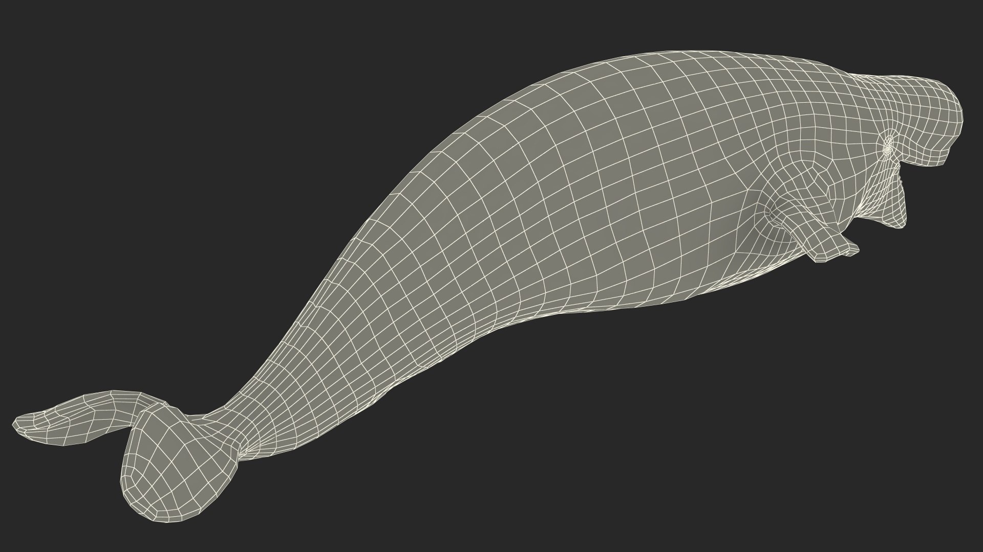 3D Beluga Whale Adult Rigged https://p.turbosquid.com/ts-thumb/cV/oIgjW8/YQ/belugawhaleadultriggedmb3dmodel035/jpg/1676340431/1920x1080/fit_q87/d2ea2e3452d08a9917b002580d6ef4d9c3c86485/belugawhaleadultriggedmb3dmodel035.jpg