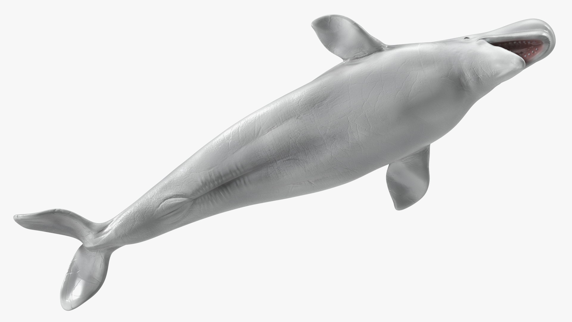 3D Beluga Whale Adult Rigged https://p.turbosquid.com/ts-thumb/cV/oIgjW8/iE/belugawhaleadultriggedmb3dmodel025/jpg/1676340397/1920x1080/fit_q87/4478a19c3dceae24dc0876669b20d71d142e1161/belugawhaleadultriggedmb3dmodel025.jpg
