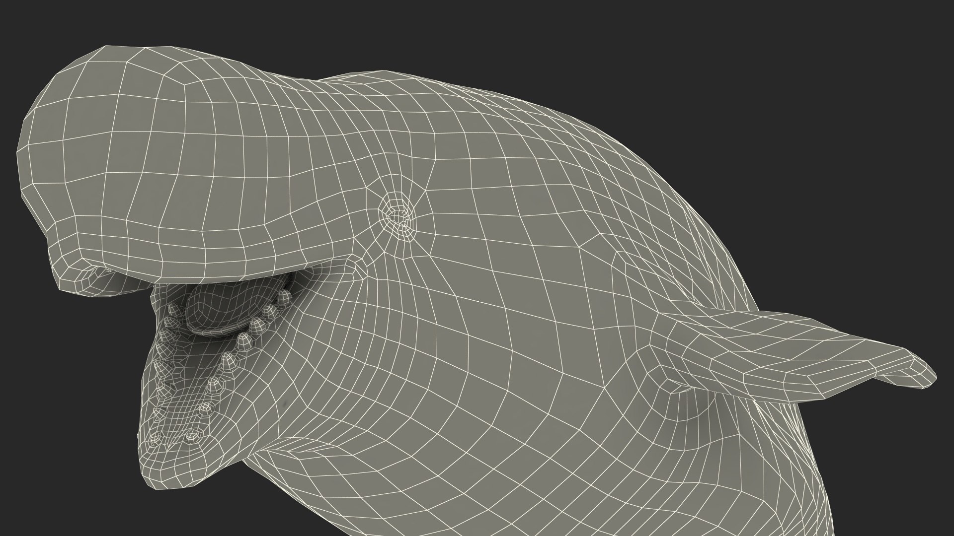 3D Beluga Whale Adult Rigged https://p.turbosquid.com/ts-thumb/cV/oIgjW8/nM/belugawhaleadultriggedmb3dmodel036/jpg/1676340434/1920x1080/fit_q87/d0a93e556efd0b21e0862cc3c11ae306e3f6b892/belugawhaleadultriggedmb3dmodel036.jpg