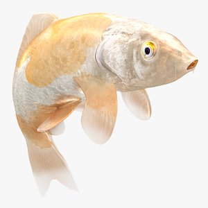 Japanese Carp Fish Rigged L1751 3D model