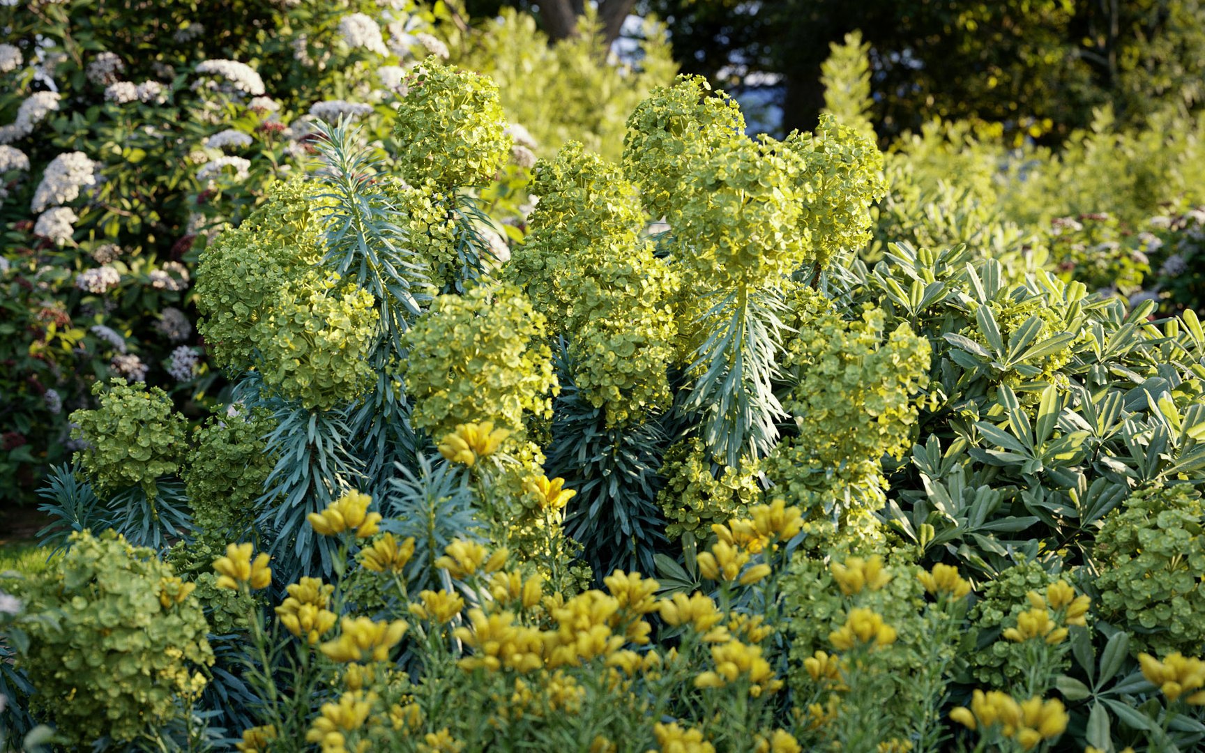 3D model mediterranean garden plants includes https://p.turbosquid.com/ts-thumb/cV/sDPbBf/Ba4gjzlI/0mt_pm_v60_scene3/jpg/1605496373/1920x1080/fit_q87/80877bcb72f07d044fc2c1334917372d1491ddef/0mt_pm_v60_scene3.jpg