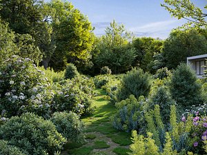 Mediterranean garden plants - Include GrowFX and Mesh file