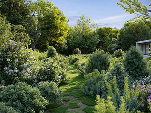 Mediterranean garden plants - Include GrowFX and Mesh file