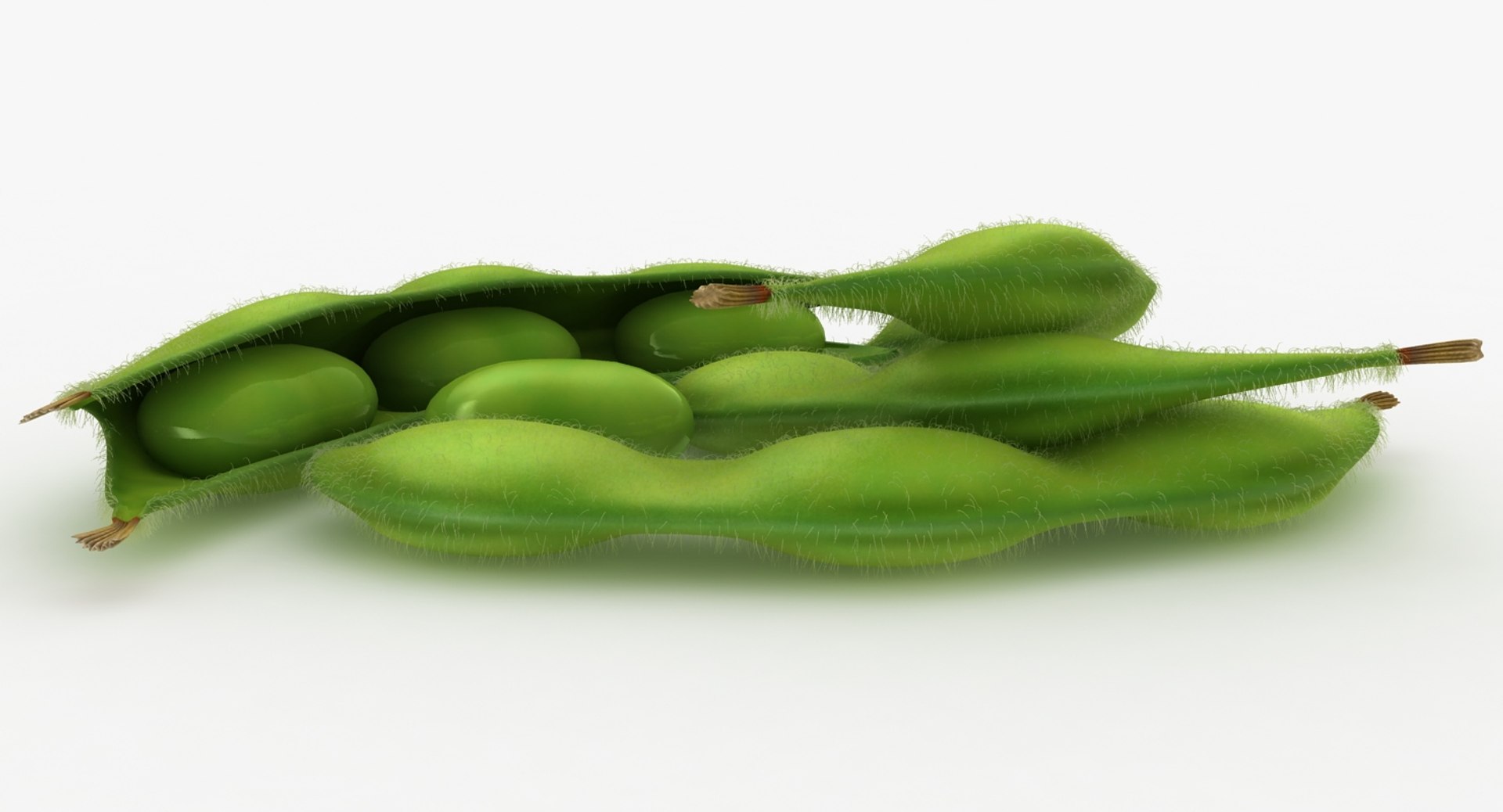 realistic edamame model https://p.turbosquid.com/ts-thumb/cV/upgDT4/K4n6wD3H/6/jpg/1505364254/1920x1080/fit_q87/46aa073e98bc51c56ee54dc585444d995cf67e48/6.jpg