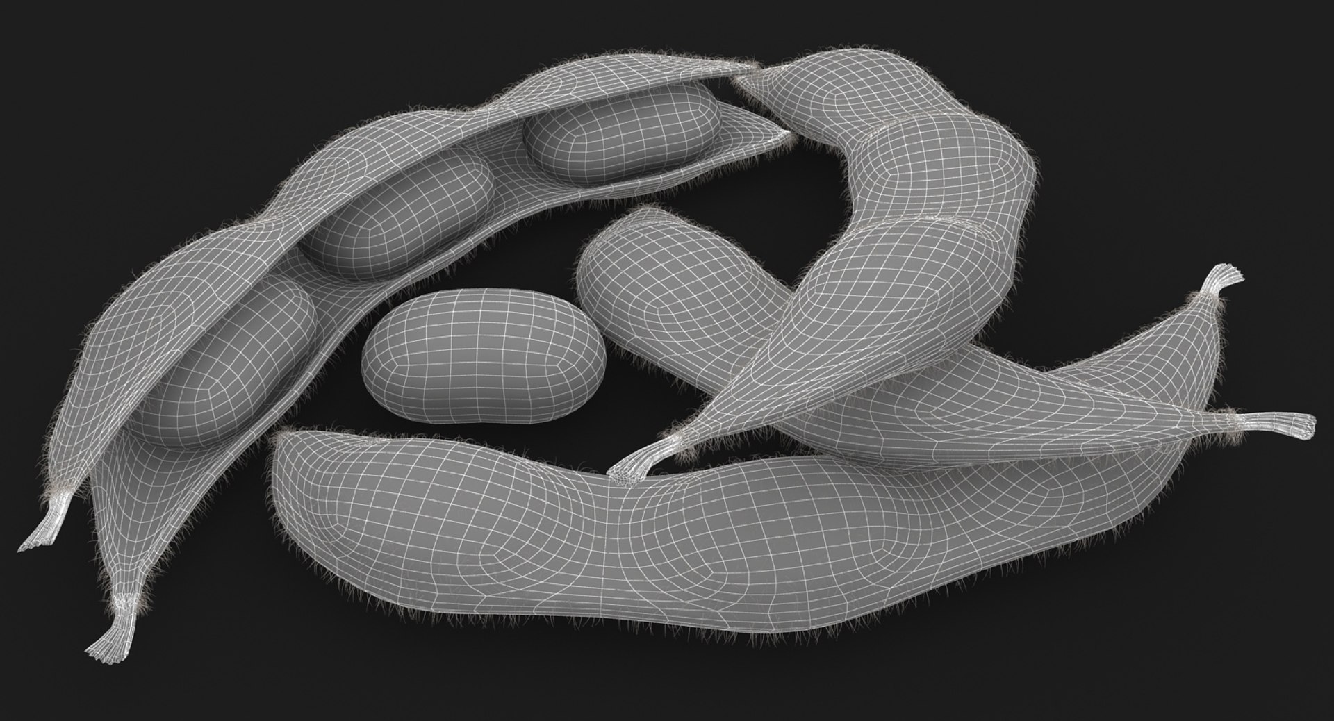 realistic edamame model https://p.turbosquid.com/ts-thumb/cV/upgDT4/hkYYFLDi/20/jpg/1505364254/1920x1080/fit_q87/8a4715415e4c892fdb6b8e121c8feb45d0dd7dc4/20.jpg