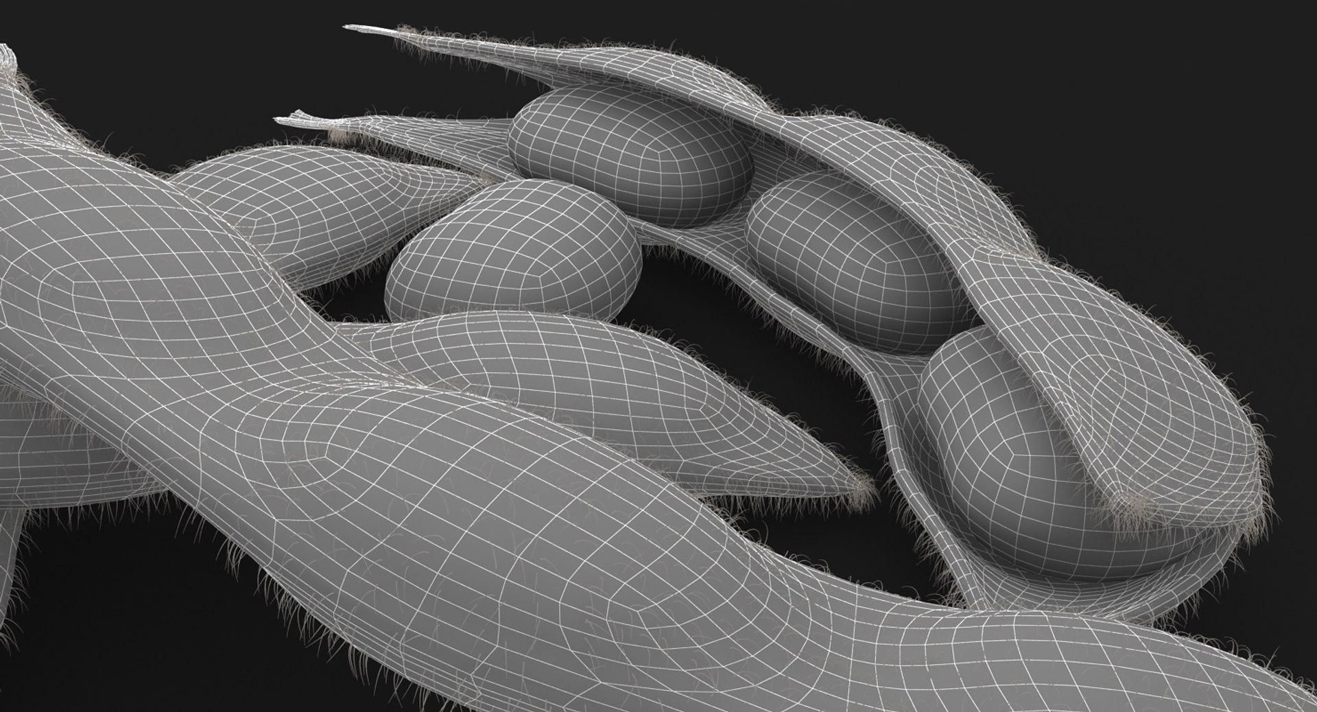 realistic edamame model https://p.turbosquid.com/ts-thumb/cV/upgDT4/hxEk2xx9/12/jpg/1505364254/1920x1080/fit_q87/52f8c4994186b29aa06807b58be5d58bab9af580/12.jpg