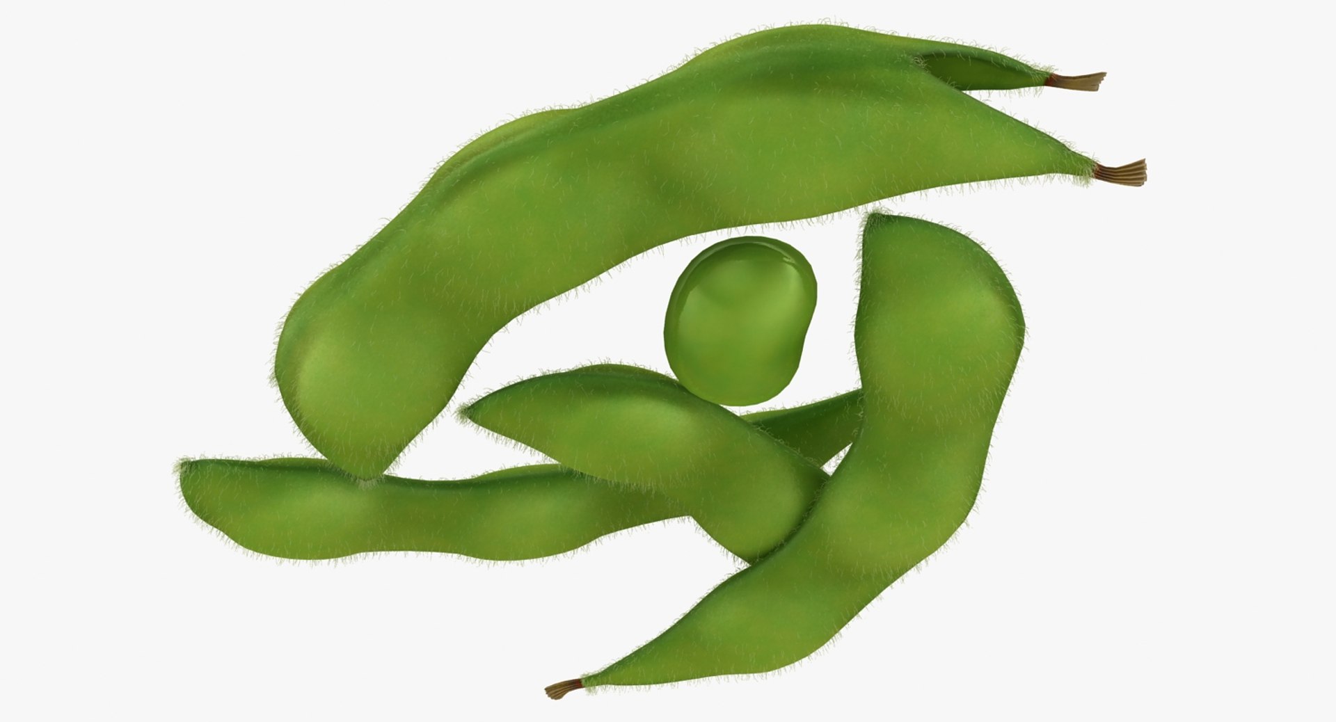 realistic edamame model https://p.turbosquid.com/ts-thumb/cV/upgDT4/oB4PAdU4/7/jpg/1505364254/1920x1080/fit_q87/1fc7588421c2731487ebd9899df091e3514d8f72/7.jpg