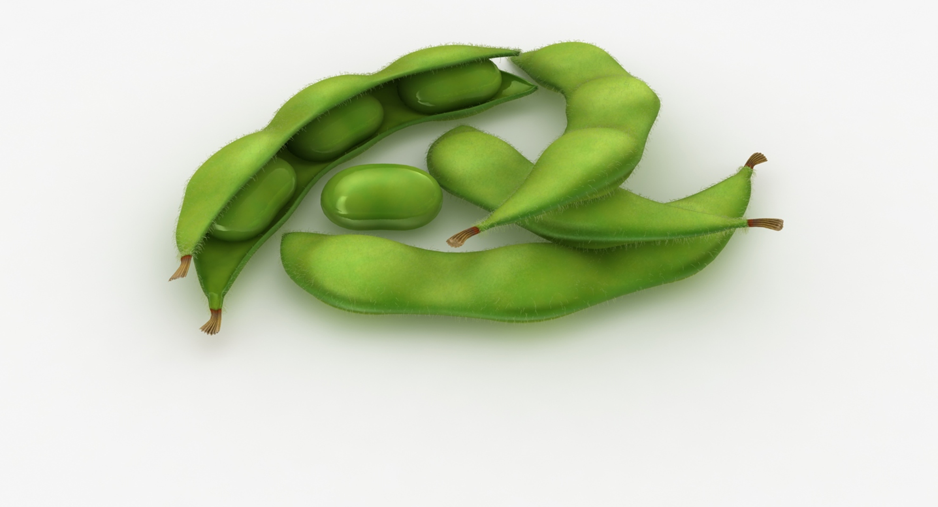realistic edamame model https://p.turbosquid.com/ts-thumb/cV/upgDT4/qilbVB0e/edamame_diffusemap/jpg/1505364273/1920x1080/turn_fit_q99/8f356c6e9ed67e0155752949e82885840d9dd42c/edamame_diffusemap-1.jpg