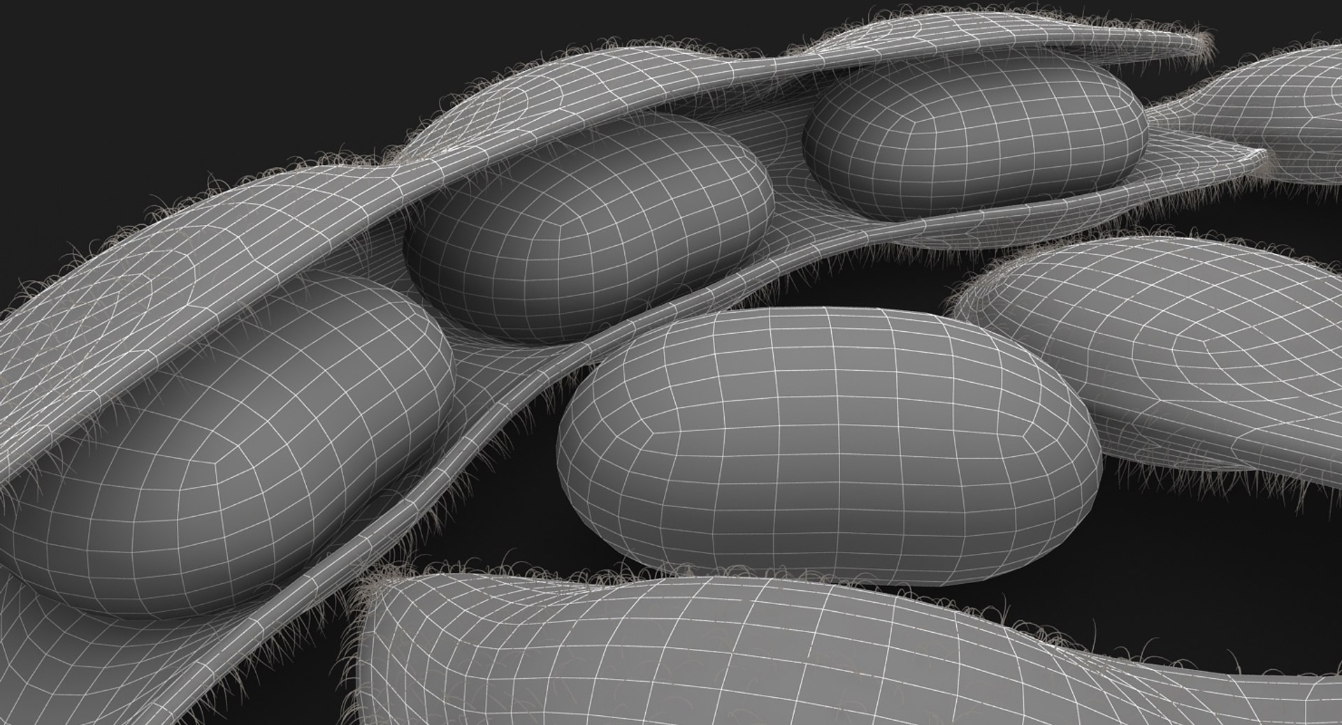 realistic edamame model https://p.turbosquid.com/ts-thumb/cV/upgDT4/uBMEt52m/15/jpg/1505364254/1920x1080/fit_q87/03edfe9f246bee13211bf68d8f33a5c50fe8fe1d/15.jpg