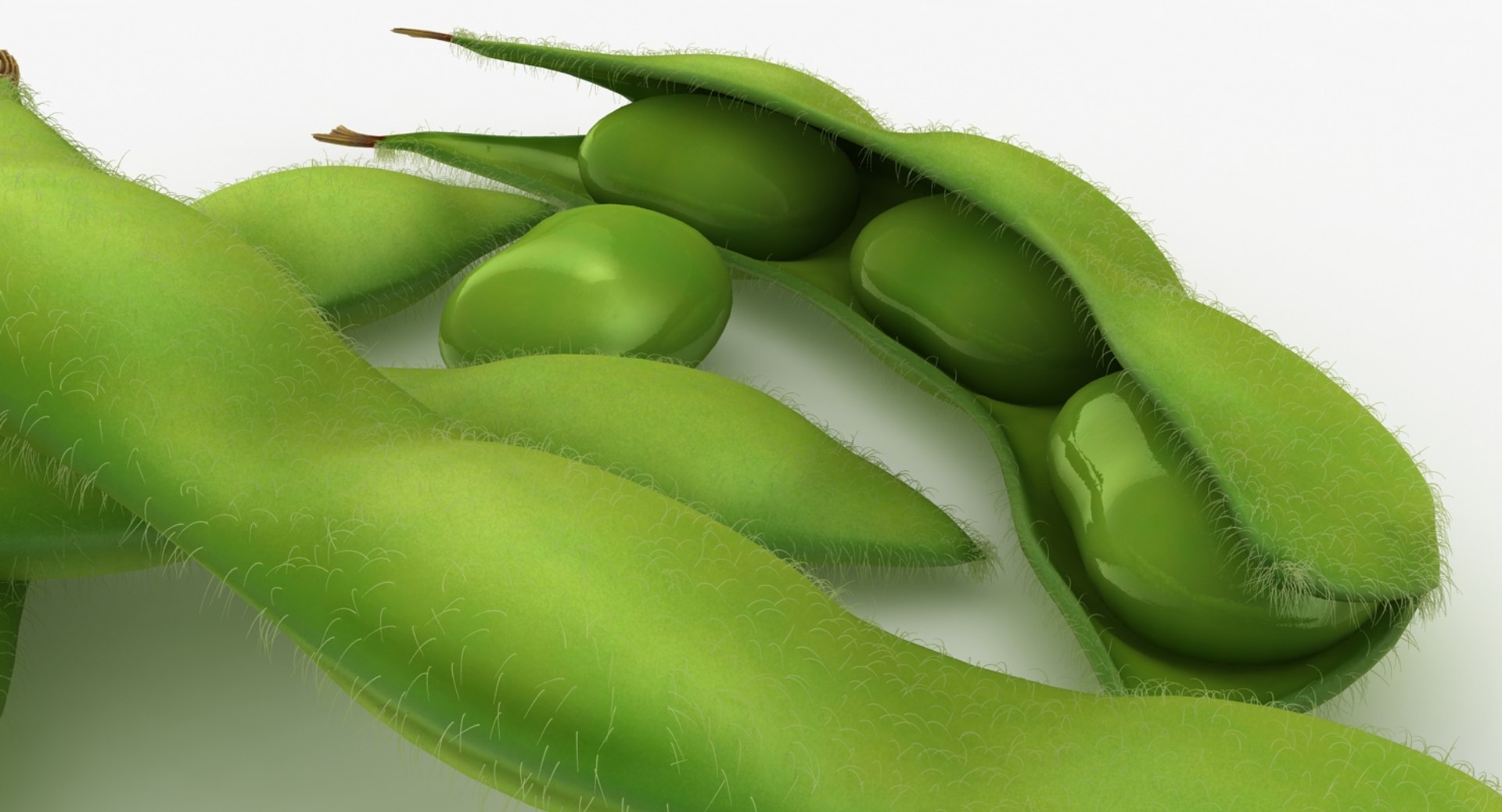 realistic edamame model https://p.turbosquid.com/ts-thumb/cV/upgDT4/zbhqnGXb/11/jpg/1505364254/1920x1080/fit_q87/145836efdaf89b6ff610782bf590eff619f3b9c8/11.jpg